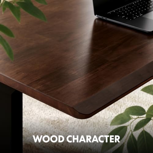 FLEXISPOT 63 x 30 Inch WoodiX Solid Wood Executive Standing Desk, Walnut - Image 6