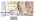 3.2 Cu. Ft. Mini Fridge with Freezer Small Refrigerator, for Bedroom - Image 2