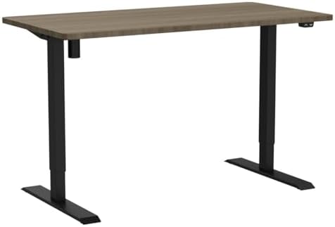 FLEXISPOT EN1 One-Piece Standing Desk, Electric Adjustable with 4 Memory Presets, 176 LBS Capacity, Stable & Quiet, Seamless Desktop for Home Office & Dual Monitors, 55"x28" Black Walnut - Image 6