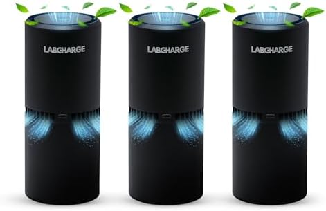 Lab Charge Small Ionic Air Purifier for Home & Bedroom – Silent HEPA Filter – Covers 250 Sq Ft - Free Cleaner for Pets, Hair, Smoke, Dust, Odors & Dander – Compact & Black Design - Pack of 3 by LabCharge
