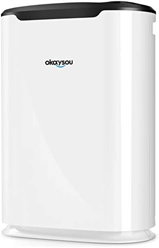 Okaysou AirMax8L 19.4” 5-in-1 Large Room Air Purifier for Home, True HEPA Filter, Air Cleaner for Smokers, Pets, Eliminates Dust, Mold, Odor, VOCs, with Double Filtration System by okaysou