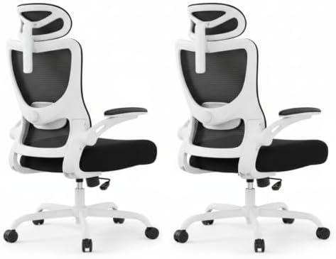 Marsail Ergonomic Office Chair with 3D Armrests, Pack of 2 by Marsail