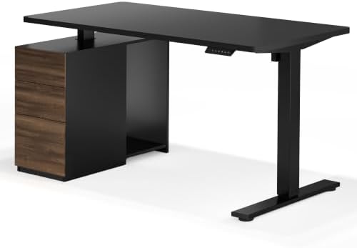 FLEXISPOT EN2 55"x28" Standing Desk Bundle with Storage Cabinet, Black by Unknown
