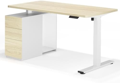 FLEXISPOT EN2 55"x28" Standing Desk Bundle with Storage Cabinet by Unknown