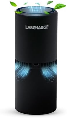 Lab Charge Small Ionic Air Purifier for Home & Bedroom – Silent HEPA Filter – Covers 250 Sq Ft - Free Cleaner for Pets, Hair, Smoke, Dust, Odors & Dander – Compact & Black Design by LabCharge
