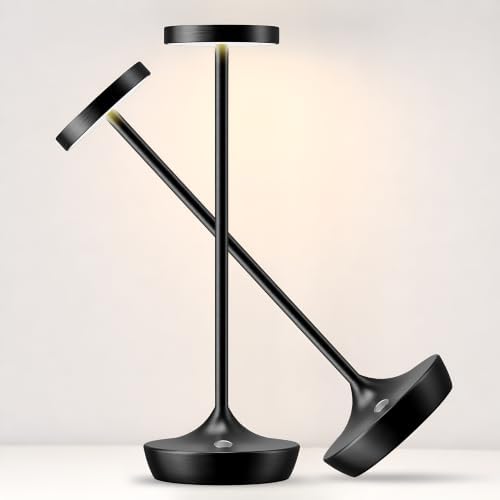 2 Pack Cordless Table Lamps, Rechargeable 6000mAh, 72H Runtime, Waterproof by WelcometoWilldoak