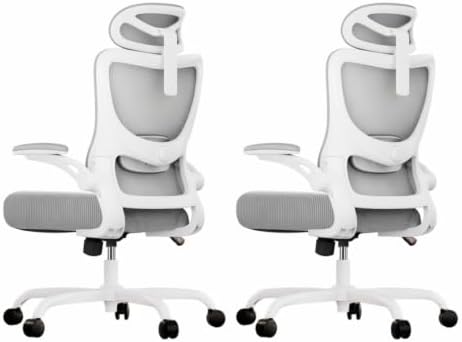 Marsail Ergonomic Office Chair with 3D Armrests, Pack of 2 by Marsail