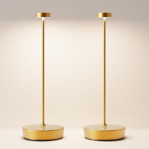 2 Pack Rechargeable Cordless Table Lamp, 6000mAh Battery Table Light by SIKEVHT