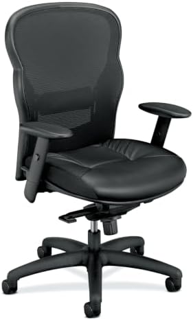 HON Wave Ergonomic Office Chair, Lumbar Support, Desk Chair, Black by HON