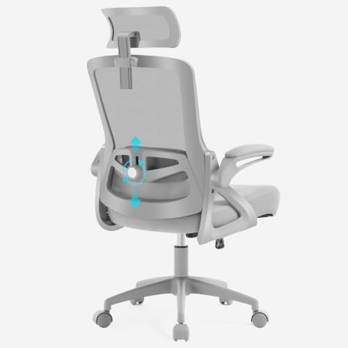 Fizzin Gray Office Chair, Mesh Desk Chair with Adjustable Lumbar Support by FizzinOfficeChair