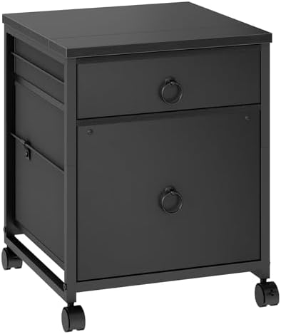HOOBRO File Cabinet, 2-Drawer Vertical Mobile Office Cabinet, Rolling Printer Stand, for A4/Letter Size Files, Nonwovens Drawer, for Home Office, Black BB21WJ01 by HOOBRO