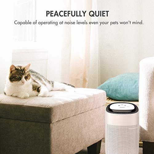 Tenergy Sorbi 1000ml Air Dehumidifier w/Purifying Function, True HEPA Filter, Auto Shutoff, Touch Control Adjustable Air Speed, Ultra-Quiet, Ideal for Closets & Bathrooms - Image 6