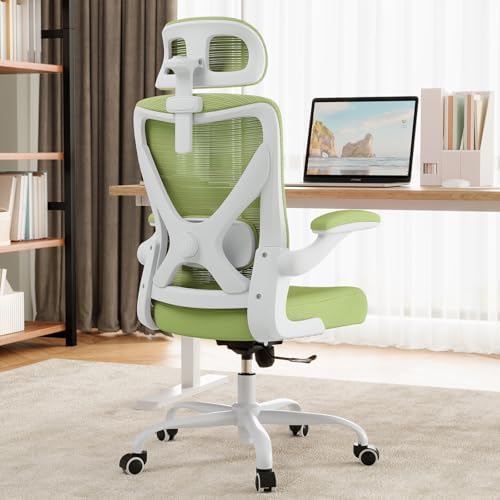 Ergonomic Office Chair: Mesh Desk Chair Comfy with Headrest& Lumbar Support by Ergalithic
