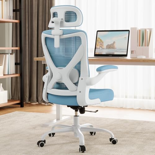 Ergonomic Office Chair: Mesh Desk Chair Comfy with Headrest& Lumbar Support by Ergalithic