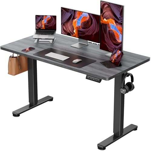 ErGear Height Adjustable Electric Standing Desk, 48 x 24 Inches Sit Stand up Desk, Memory Computer Home Office Desk, Grey by ErGear
