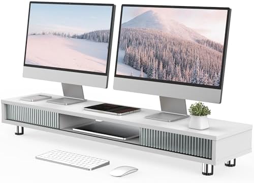 Fenge Dual Monitor Stand with Storage, Desk Shelf with Glass Sliding Door by Fenge
