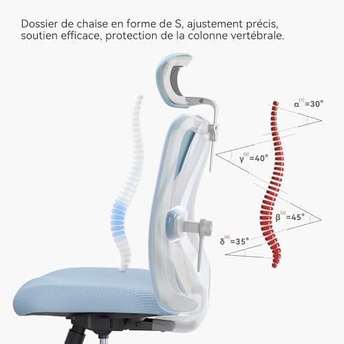SIHOO M18 Ergonomic Office Chair, Computer Desk Chair with Adjustable Headrest and Lumbar Support, High Back Executive Swivel Chair for Home Office (Light Blue) - Image 7