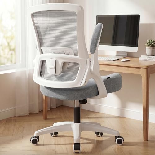 NEO CHAIR Office Desk Chair High Back Mesh Chair Adjustable Lumbar, Grey by NEOCHAIR