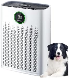 Air Purifiers for Home Large Room, Cover Up to 2400 Ft² with True HEPA Filter, Smart Mode, PM2.5 Air Quality Display, Aromatherapy with 2X-Purification & 360°Air Outlet, DL, HAP603 by ECOSELF