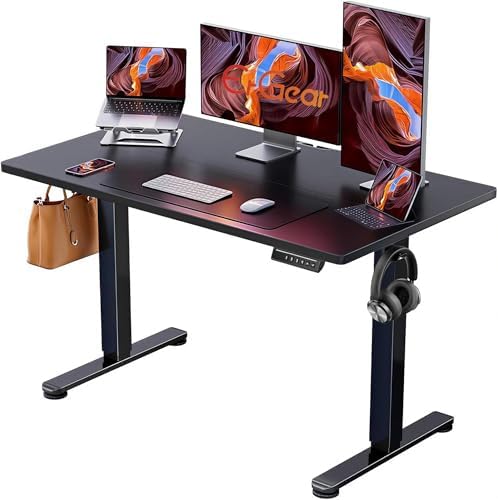 ErGear 48 X 24 Inch Height Adjustable Electric Standing Desk, Black by ErGear