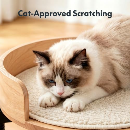 FLEXISPOT EN2 55"x28" Standing Desk with Solid Wood Cat Bed, Maple - Image 4