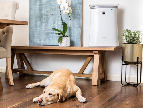 Sharp FPK50UW Air Purifier for Medium Rooms - Image 2