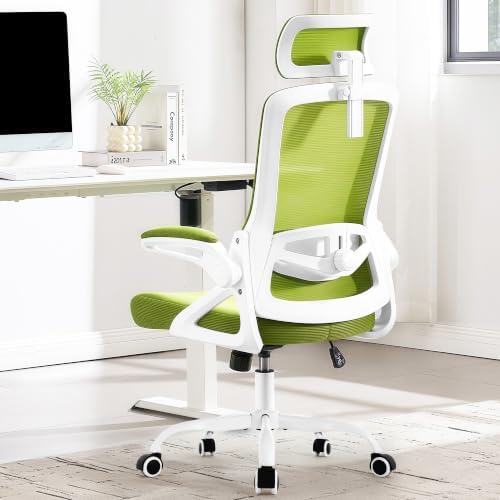 Fizzin Office Chair Mesh Computer Chairs with Adjustable Lumbar Support by FizzinOfficeChair