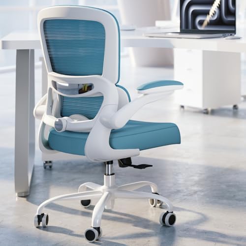 TRALT Office Chair - Ergonomic Desk Chair with Adjustable Lumbar Support, Mesh Computer Chair, Executive Chair for Home Office Comfortable Lumbar Support (1, Sky Blue) by TRALT