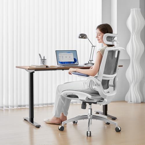 SIHOO M59AS Ergonomic Office Chair, Dual Backrest, Adaptive Lumbar Support - Image 2