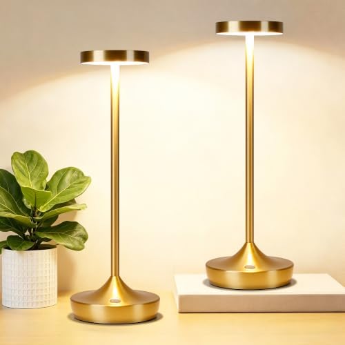 2 Pack Rechargeable Cordless Table Lamps 6000mAh LED Battery Table Light by YHT