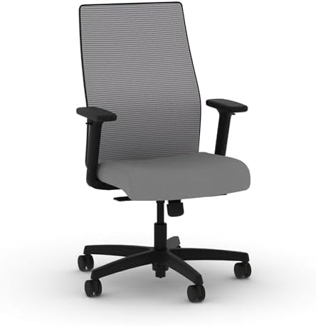 HON Ignition 2.0 Ergonomic Office Chair, Lumbar Support, Desk Chair, Frost by HON