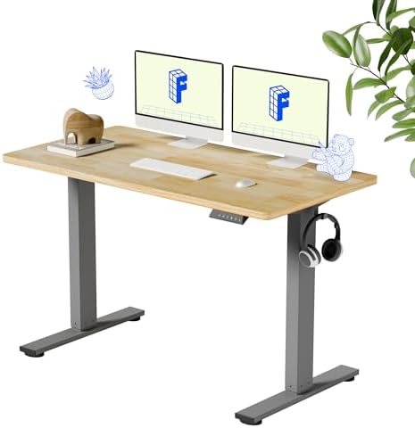 FLEXISPOT 48" x 24" Solid Wood Standing Desk, Silver Frame by Unknown