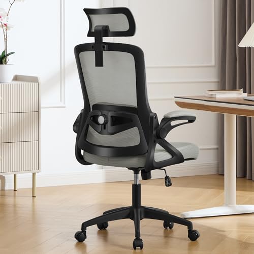 Fizzin Office Chair Mesh Computer Chairs with Adjustable Lumbar Support by FizzinOfficeChair