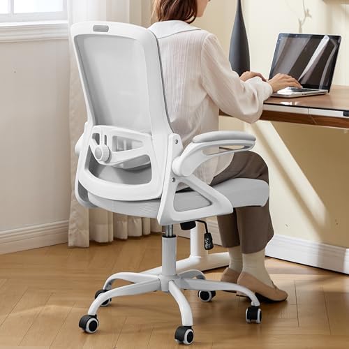 Ergonomic Office Chair Desk Chair with Adjustable Lumbar Support by NexthroOfficeChair