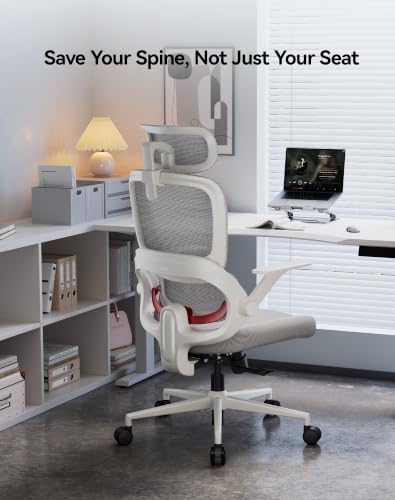 SIHOO B100 SE Ergonomic Office Chair, Desk Chair with Lumbar Support - Image 3