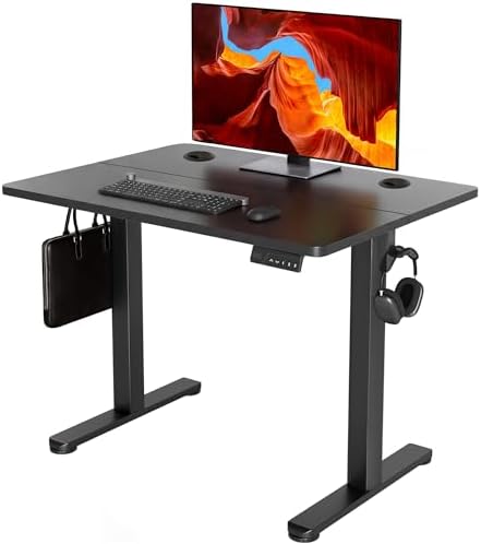 YDN 32 x 19 Inch Black Electric Standing Desk by YDN