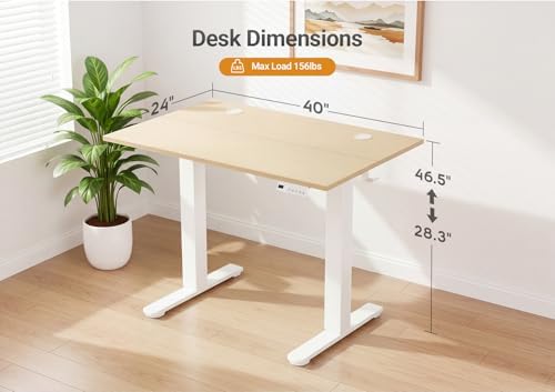 YDN Electric Standing Desk, 40x24 Inch, Nature - Image 3