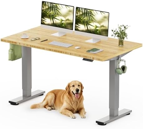 FLEXISPOT 55" x 28" Solid Bamboo Standing Desk, Silver Frame by Unknown
