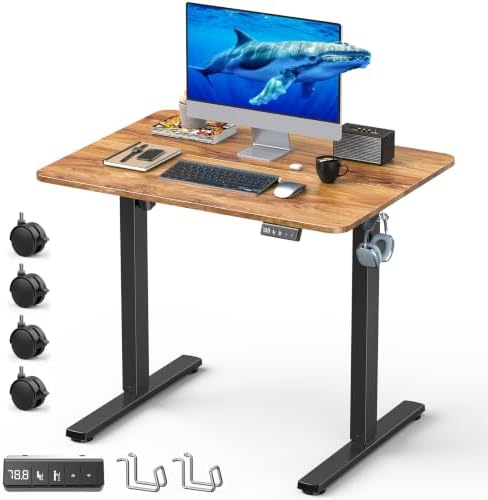 32" Small Rolling Electric Standing Desk Adjustable Height for Home Office by XyndyxErgonomicDesign