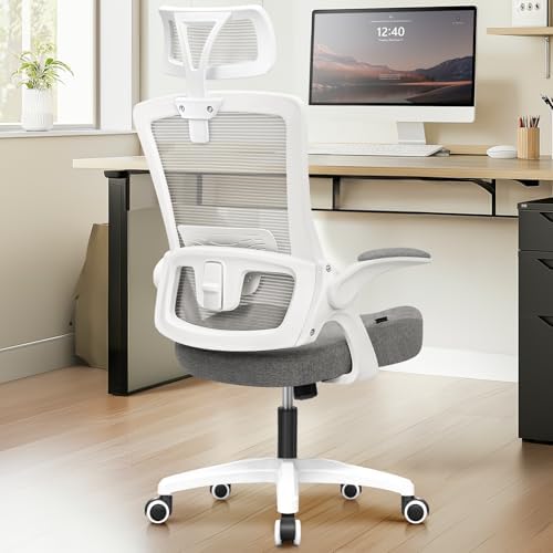NEO CHAIR Office Desk Chair with Ergonomic High Back Mesh Headrest, Grey by NEOCHAIR