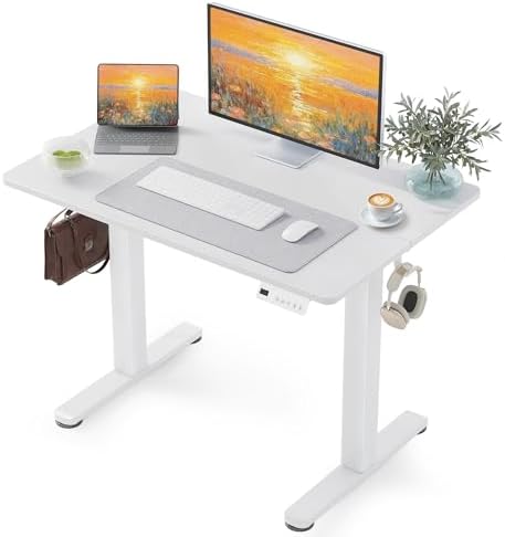 YDN 40 x 24 Inch White Electric Standing Desk by YDN