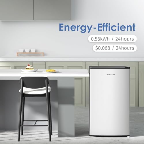 BANGSON Mini Fridge with Freezer 3.2 Cu.Ft for Bedroom and Office Silver - Image 6
