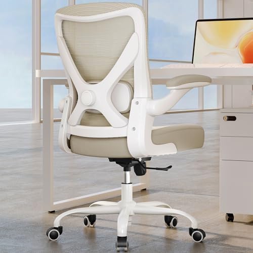 Ergalithic Office Chair: Mesh Ergonomic Desk Chair with 3D Lumbar & Swivel by Ergalithic