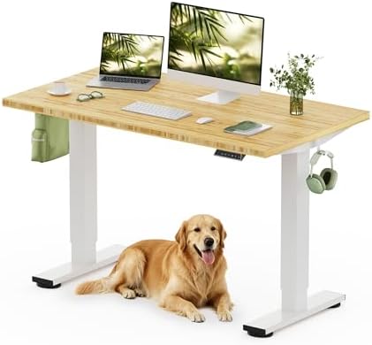 FLEXISPOT 48" x 24" Solid Bamboo Standing Desk, White Frame by Unknown