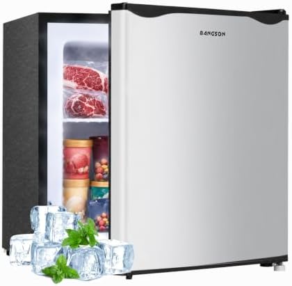 BANGSON 1.1 Cu.ft Upright Mini Freezer for Dorms Apartment, Silver by LiveFreshLiveUnrushed