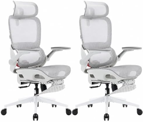 SIHOO B100 Pro Ergonomic Office Chair with Adaptive Lumbar Support, Computer Chair with Dual-Back, Desk Chair with 360° Rotatable & Flip-Up Armrests, 3D Wide Headrest, 2 Packs, Light Grey by SIHOO