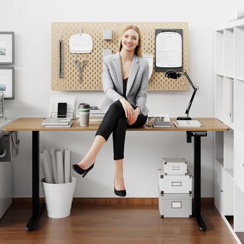 Shintenchi Standing Desk, 63x24 Inch Height Adjustable Electric Sit Stand up Desk, Ergonomic Rising Computer Table, Modern Lift Gaming Desk Workstation for Home Office, White - Image 3