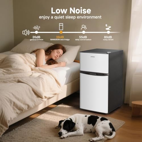 BANGSON 3.2 CU.FT Mini Fridge with Freezer for Bedroom Office Silver - Image 5