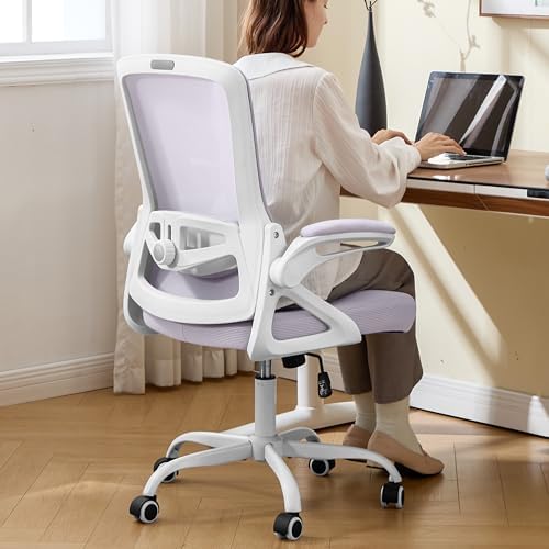 Ergonomic Office Chair Desk Chair with Adjustable Lumbar Support by NexthroOfficeChair