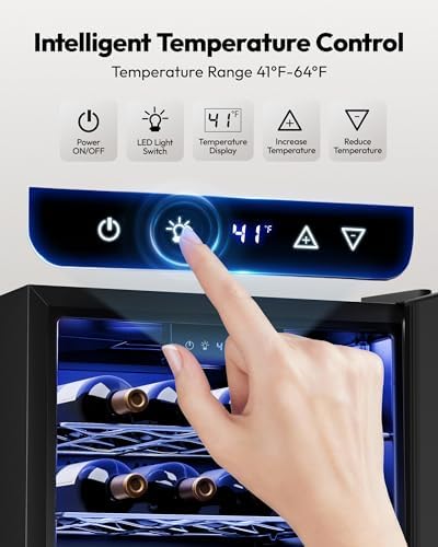 EUHOMY 25 bottle Wine Cooler Refrigerator, Wine Fridge Glass Door, Silver - Image 3